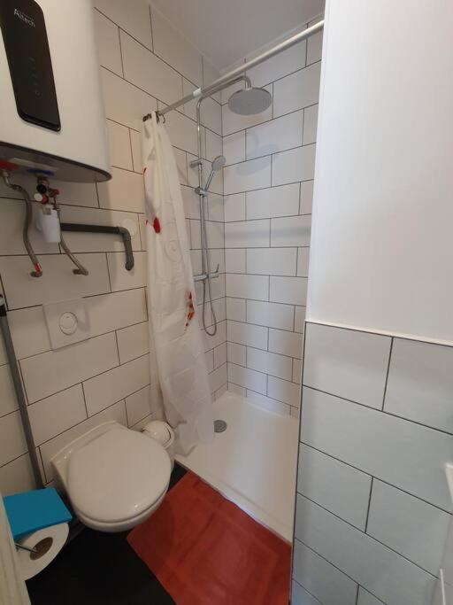 Studio Coquelicot Apartman Nancy Kültér fotó