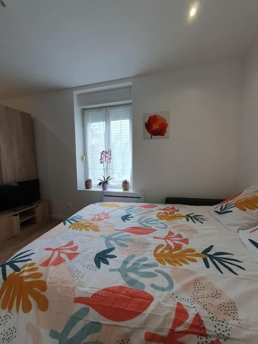 Studio Coquelicot Apartman Nancy Kültér fotó